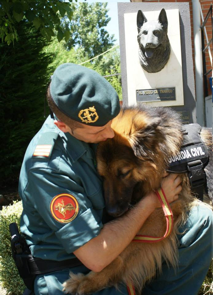 Razas perros Guardia Civil